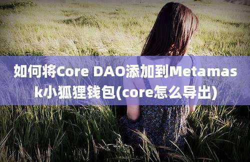 如何将Core DAO添加到Metamask小狐狸钱包(core怎么导出)