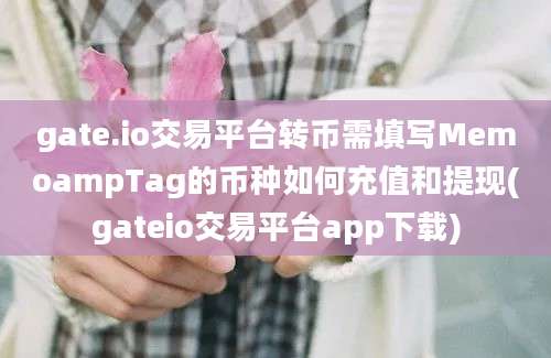 gate.io交易平台转币需填写MemoampTag的币种如何充值和提现(gateio交易平台app下载)