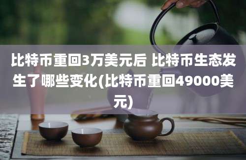 比特币重回3万美元后 比特币生态发生了哪些变化(比特币重回49000美元)