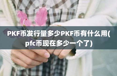 PKF币发行量多少PKF币有什么用(pfc币现在多少一个了)