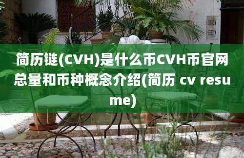 简历链(CVH)是什么币CVH币官网总量和币种概念介绍(简历 cv resume)