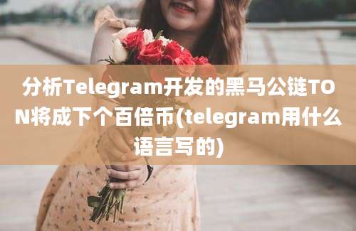 分析Telegram开发的黑马公链TON将成下个百倍币(telegram用什么语言写的)