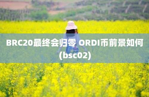 BRC20最终会归零 ORDI币前景如何(bsc02)