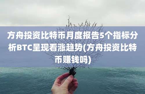 方舟投资比特币月度报告5个指标分析BTC呈现看涨趋势(方舟投资比特币赚钱吗)