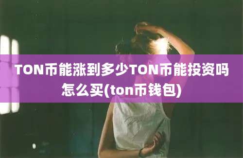 TON币能涨到多少TON币能投资吗怎么买(ton币钱包)