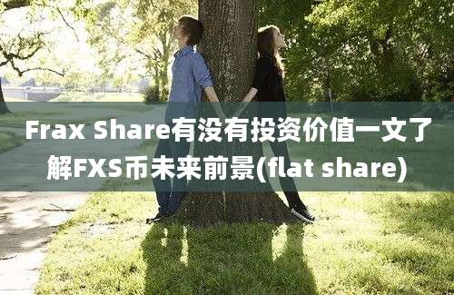 Frax Share有没有投资价值一文了解FXS币未来前景(flat share)