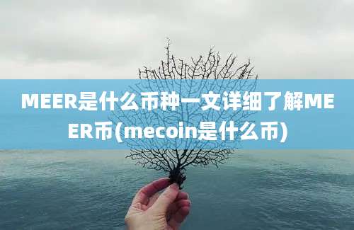 MEER是什么币种一文详细了解MEER币(mecoin是什么币)