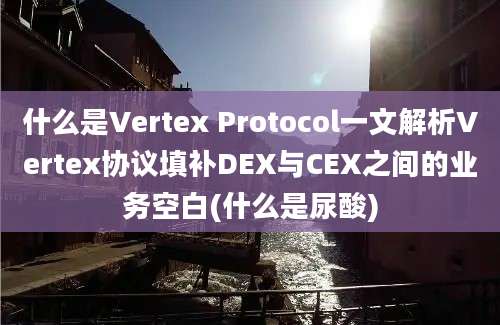 什么是Vertex Protocol一文解析Vertex协议填补DEX与CEX之间的业务空白(什么是尿酸)