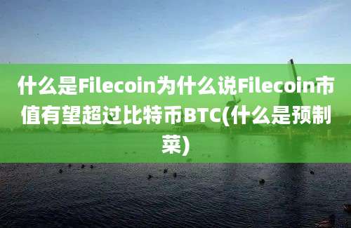 什么是Filecoin为什么说Filecoin市值有望超过比特币BTC(什么是预制菜)