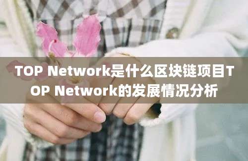 TOP Network是什么区块链项目TOP Network的发展情况分析