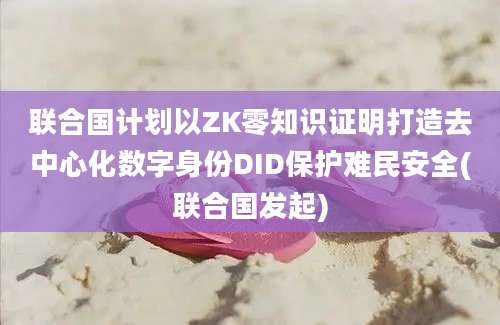 联合国计划以ZK零知识证明打造去中心化数字身份DID保护难民安全(联合国发起)