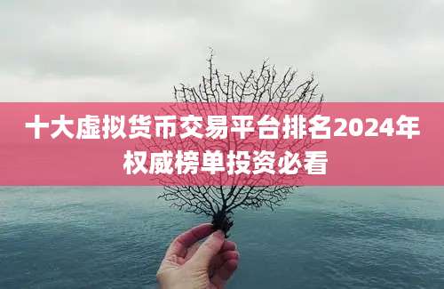 十大虚拟货币交易平台排名2024年 权威榜单投资必看