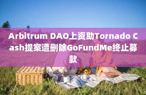 Arbitrum DAO上资助Tornado Cash提案遭删除GoFundMe终止募款