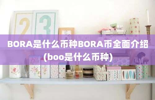 BORA是什么币种BORA币全面介绍(boo是什么币种)