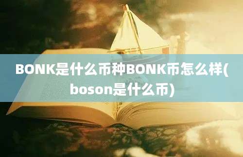 BONK是什么币种BONK币怎么样(boson是什么币)