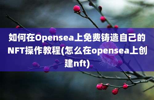 如何在Opensea上免费铸造自己的NFT操作教程(怎么在opensea上创建nft)