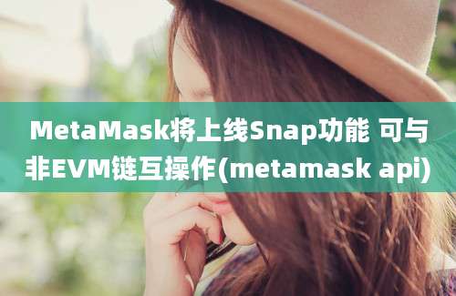 MetaMask将上线Snap功能 可与非EVM链互操作(metamask api)