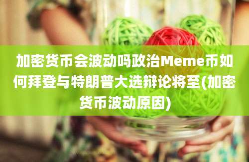 加密货币会波动吗政治Meme币如何拜登与特朗普大选辩论将至(加密货币波动原因)