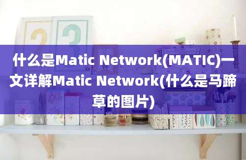 什么是Matic Network(MATIC)一文详解Matic Network(什么是马蹄草的图片)