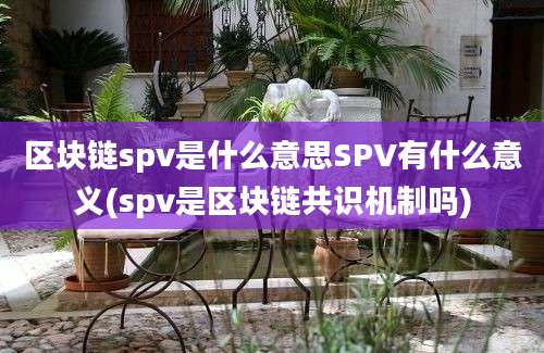 区块链spv是什么意思SPV有什么意义(spv是区块链共识机制吗)