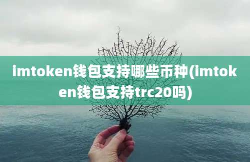 imtoken钱包支持哪些币种(imtoken钱包支持trc20吗)