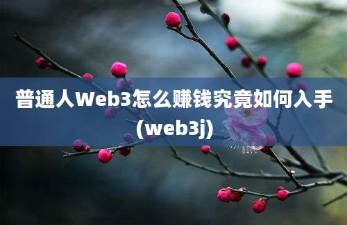 普通人Web3怎么赚钱究竟如何入手(web3j)