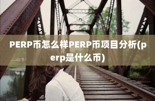 PERP币怎么样PERP币项目分析(perp是什么币)