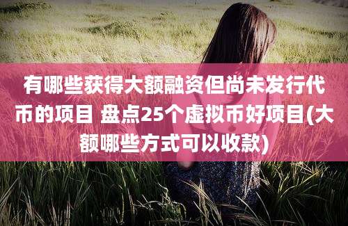 有哪些获得大额融资但尚未发行代币的项目 盘点25个虚拟币好项目(大额哪些方式可以收款)