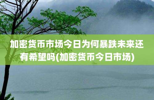 加密货币市场今日为何暴跌未来还有希望吗(加密货币今日市场)