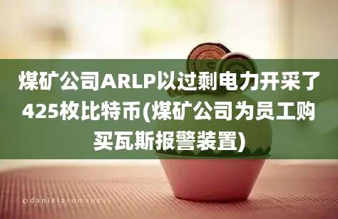 煤矿公司ARLP以过剩电力开采了425枚比特币(煤矿公司为员工购买瓦斯报警装置)