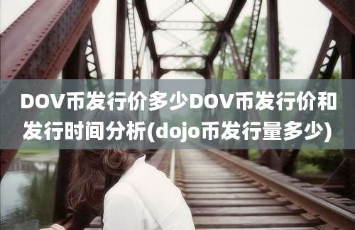 DOV币发行价多少DOV币发行价和发行时间分析(dojo币发行量多少)