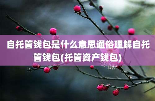 自托管钱包是什么意思通俗理解自托管钱包(托管资产钱包)