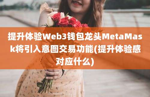 提升体验Web3钱包龙头MetaMask将引入意图交易功能(提升体验感对应什么)