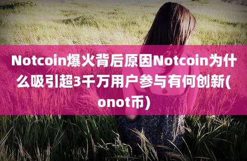 Notcoin爆火背后原因Notcoin为什么吸引超3千万用户参与有何创新(onot币)