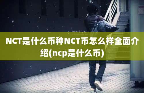 NCT是什么币种NCT币怎么样全面介绍(ncp是什么币)