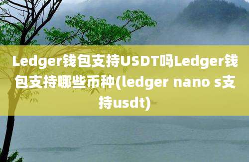 Ledger钱包支持USDT吗Ledger钱包支持哪些币种(ledger nano s支持usdt)