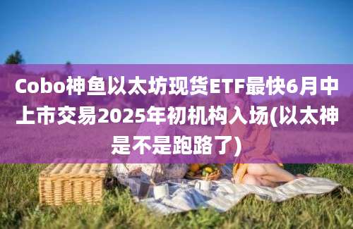 Cobo神鱼以太坊现货ETF最快6月中上市交易2025年初机构入场(以太神是不是跑路了)