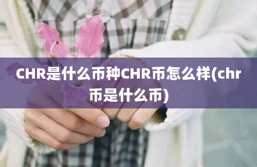 CHR是什么币种CHR币怎么样(chr币是什么币)