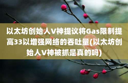 以太坊创始人V神提议将Gas限制提高33以增强网络的吞吐量(以太坊创始人V神被抓是真的吗)