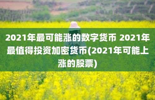 2021年最可能涨的数字货币 2021年最值得投资加密货币(2021年可能上涨的股票)