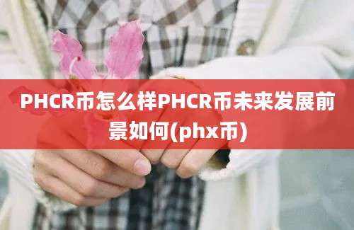 PHCR币怎么样PHCR币未来发展前景如何(phx币)