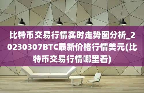 比特币交易行情实时走势图分析_20230307BTC最新价格行情美元(比特币交易行情哪里看)