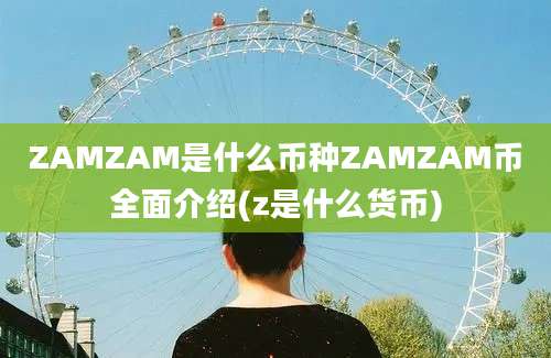 ZAMZAM是什么币种ZAMZAM币全面介绍(z是什么货币)