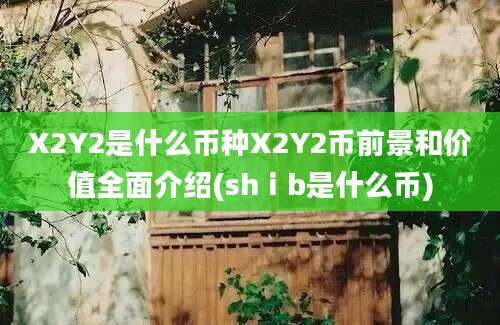 X2Y2是什么币种X2Y2币前景和价值全面介绍(shⅰb是什么币)