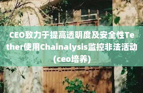 CEO致力于提高透明度及安全性Tether使用Chainalysis监控非法活动(ceo培养)