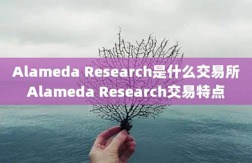 Alameda Research是什么交易所Alameda Research交易特点