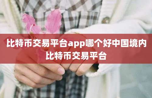 比特币交易平台app哪个好中国境内比特币交易平台