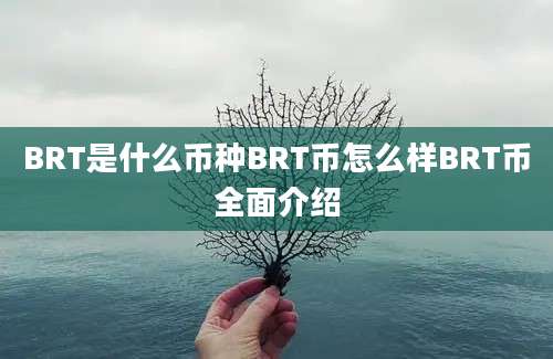 BRT是什么币种BRT币怎么样BRT币全面介绍