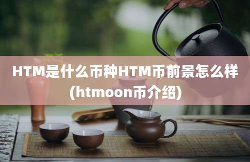 HTM是什么币种HTM币前景怎么样(htmoon币介绍)