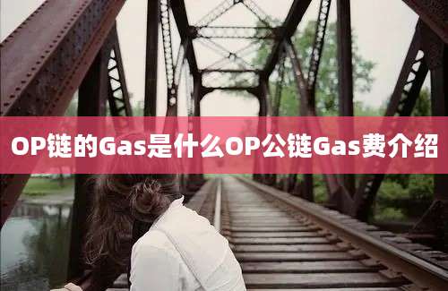 OP链的Gas是什么OP公链Gas费介绍